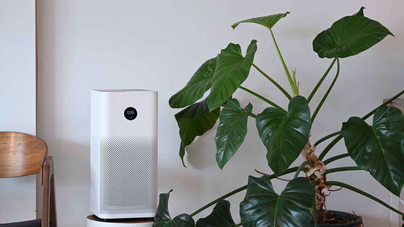 air-purifier-and-houseplant-in-living-room